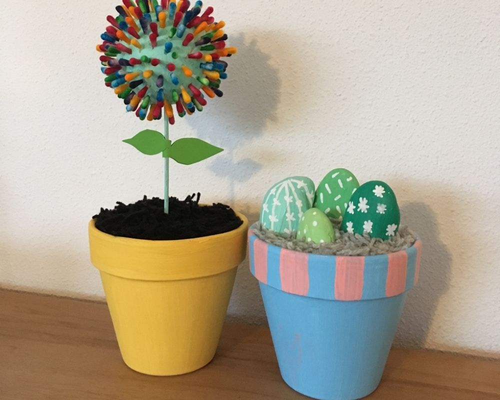 Bloem en cactus in pot