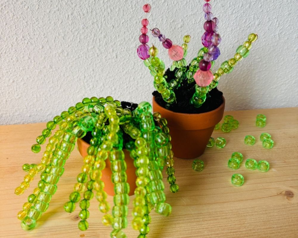 Kinderfeestje miniplantjes